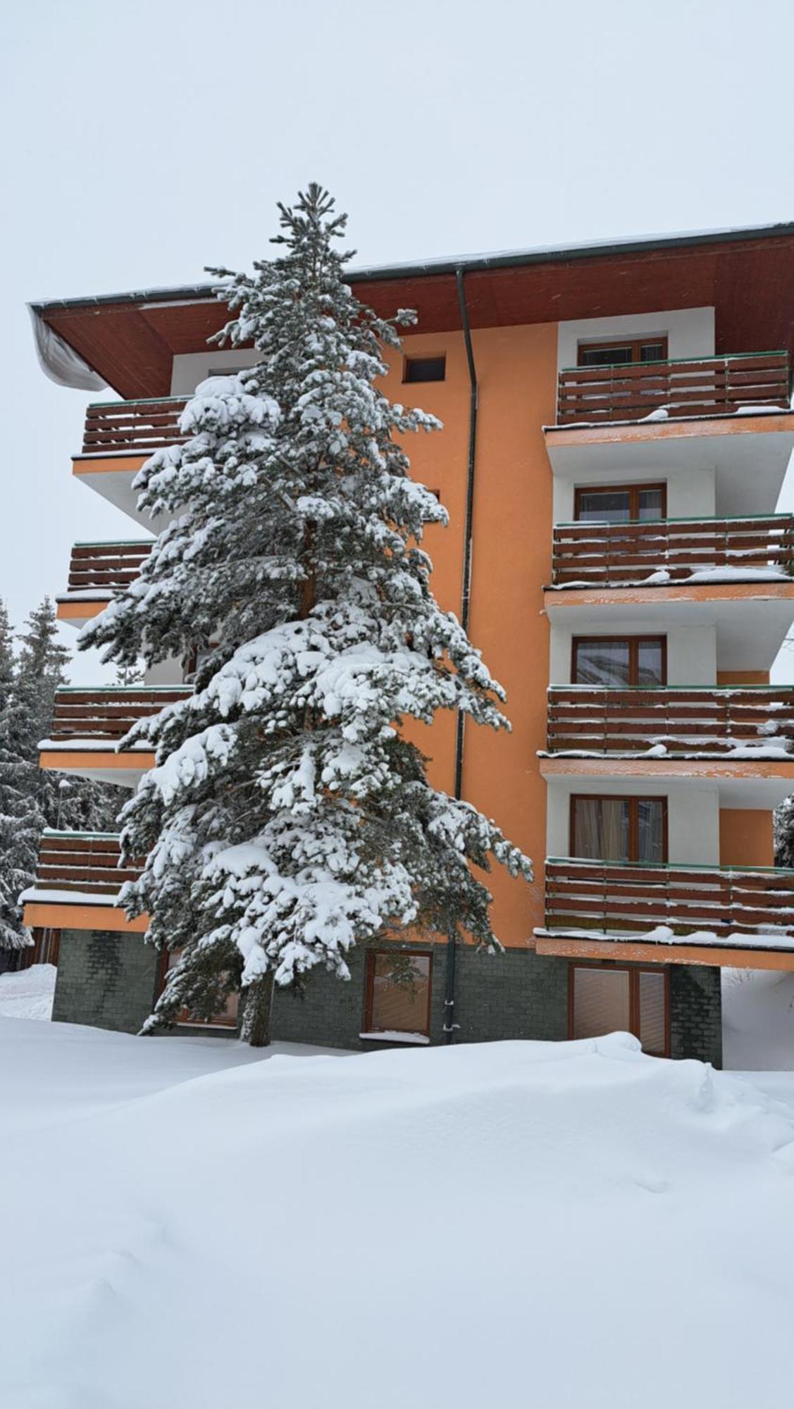 Apartmán Pálenica II Tatranska Strba Exterior foto